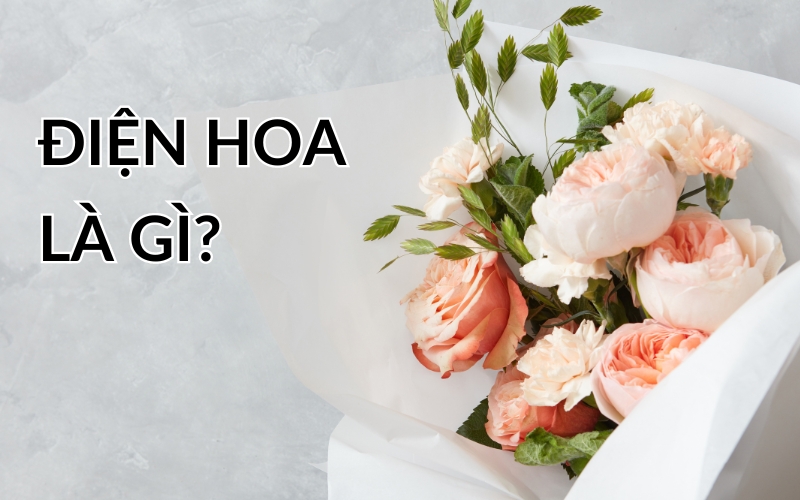 điện hoa là gì