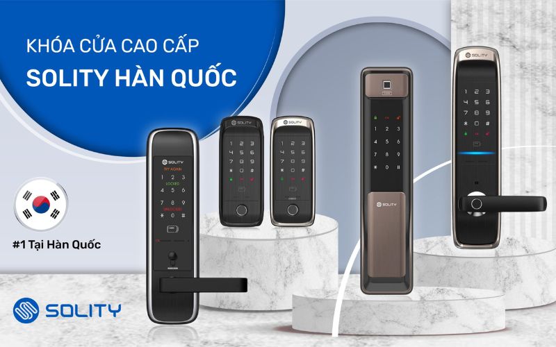 thương hiệu solity việt nam